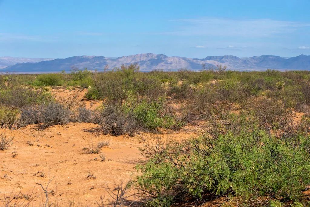 Decorative background for 5.7 Acres near Van Horn image 12