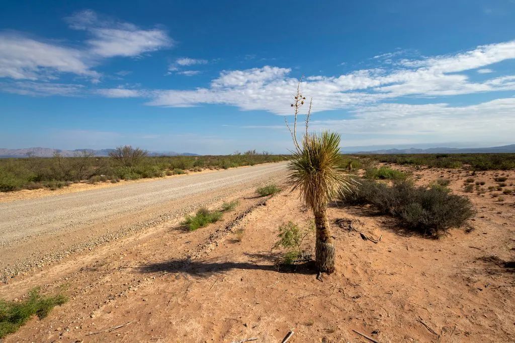Decorative background for 5.7 Acres near Van Horn image 14