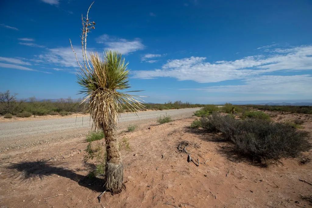Decorative background for 5.7 Acres near Van Horn image 15