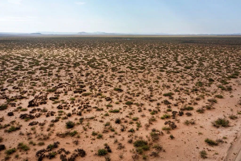 Decorative background for 5.7 Acres near Van Horn image 20