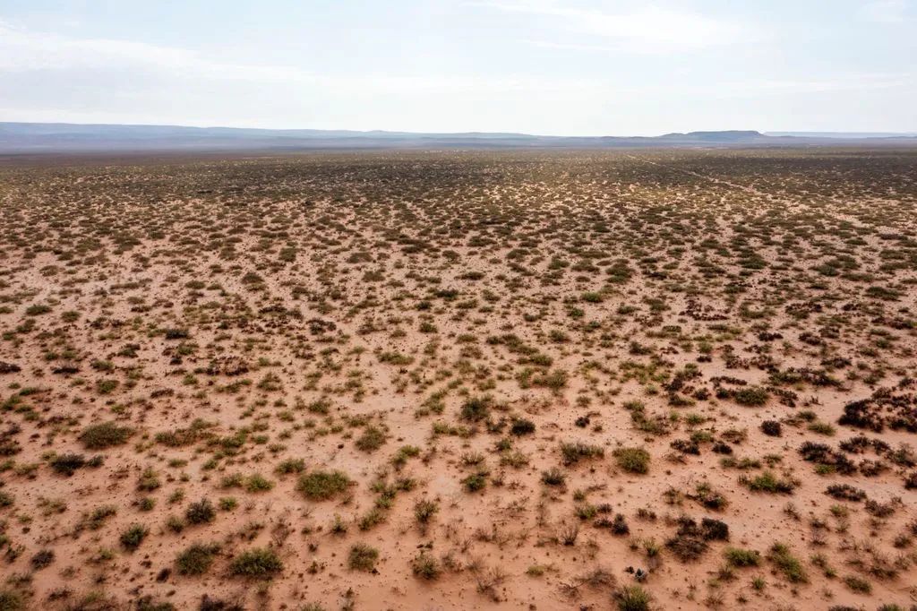 Decorative background for 5.7 Acres near Van Horn image 21