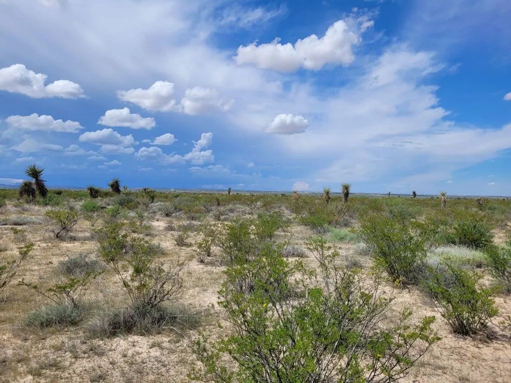 Salt Creek in Culberson County, TX