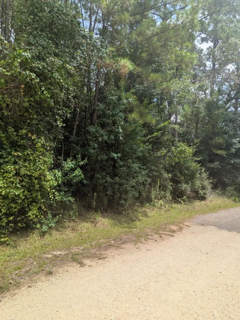 Decorative background for E Ivanhoe Dr image 10