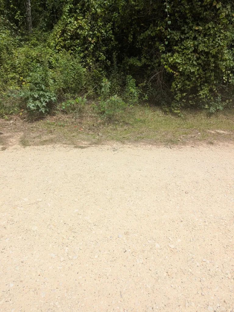 Decorative background for E Ivanhoe Dr image 15