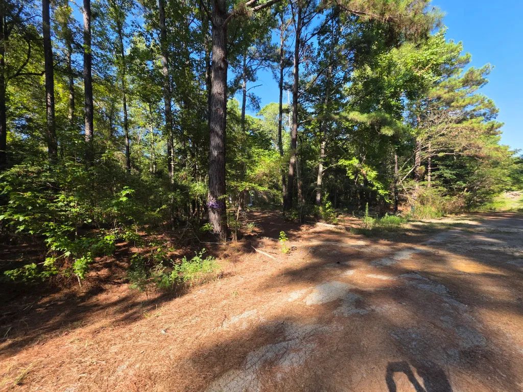 Amherst Ct in Cherokee County, TX