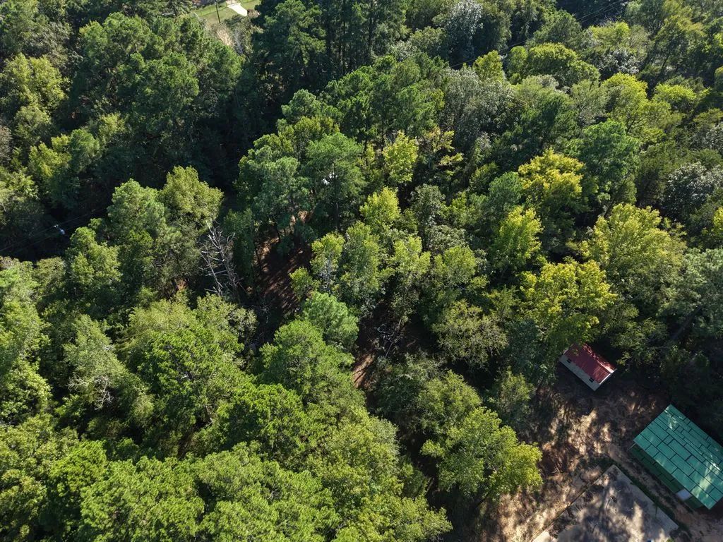 Amherst Ct - Image 3