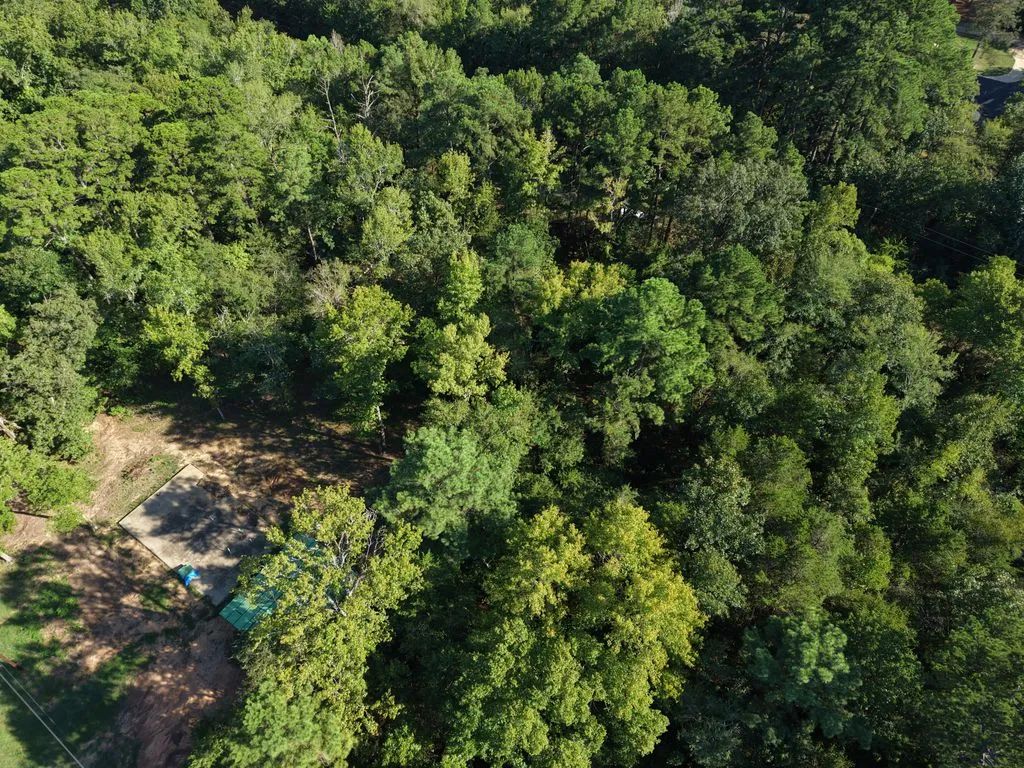Amherst Ct - Image 4
