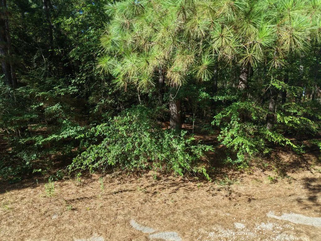 Decorative background for Amherst Ct image 14