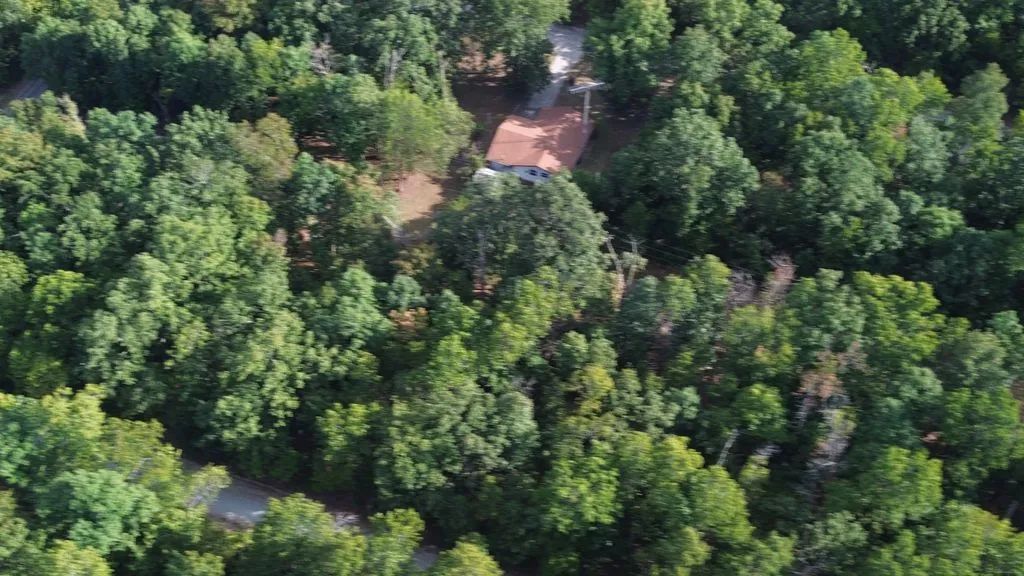 901 White Oak - Image 4