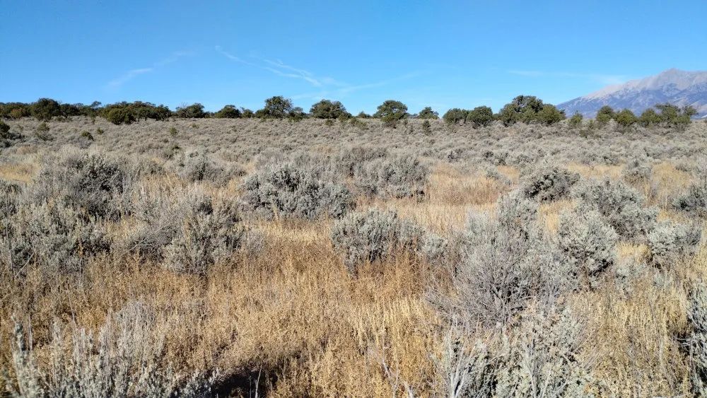 Fort Garland, Colorado, Paine Rd N, SDCR Lot 3244, 5 Acres – Build, Mobile Home, RV & Camp! in Costilla County, CO