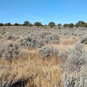 Fort Garland, Colorado, Paine Rd N, SDCR Lot 3244, 5 Acres – Build, Mobile Home, RV & Camp! in Costilla County, CO