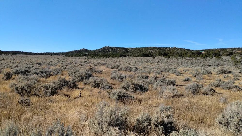Decorative background for Fort Garland, Colorado, Paine Rd N, SDCR Lot 3244, 5 Acres – Build, Mobile Home, RV & Camp! image 6