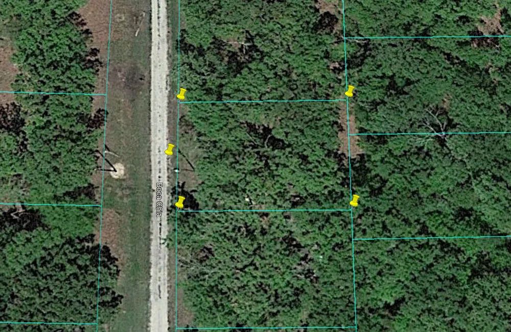Decorative background for Boca Chica, Malakoff, TX. Point La Vista Lot 7, Cedar Creek Lake! Ready to Build! image 5
