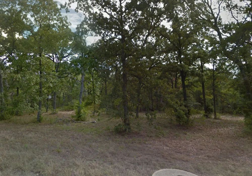Decorative background for Boca Chica, Malakoff, TX. Point La Vista Lot 7, Cedar Creek Lake! Ready to Build! image 6