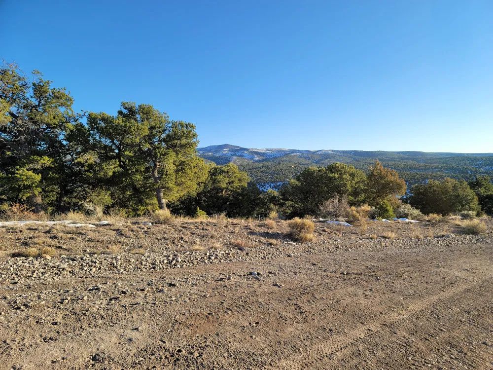 Fort Garland, Colorado – Alexandre Rd, Lot 4499 – 9.7 Acre Outdoorsmans Paradise - Image 3