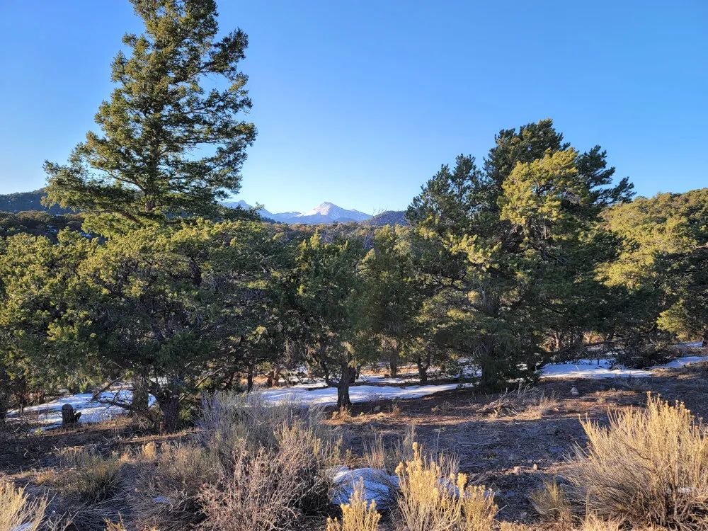 Fort Garland, Colorado – Alexandre Rd, Lot 4499 – 9.7 Acre Outdoorsmans Paradise in Costilla County, CO