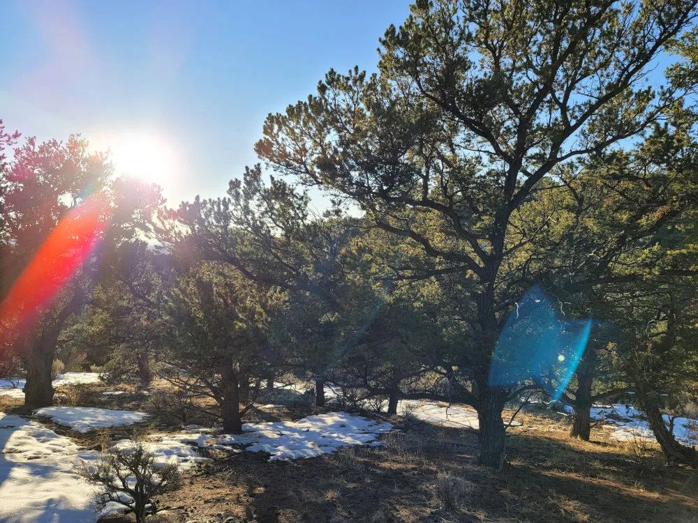 Decorative background for Fort Garland, Colorado – Alexandre Rd, Lot 4499 – 9.7 Acre Outdoorsmans Paradise image 5