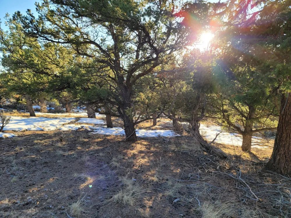 Decorative background for Fort Garland, Colorado – Alexandre Rd, Lot 4499 – 9.7 Acre Outdoorsmans Paradise image 6