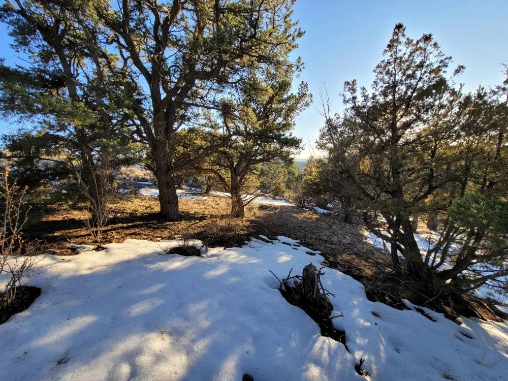 Decorative background for Fort Garland, Colorado – Alexandre Rd, Lot 4499 – 9.7 Acre Outdoorsmans Paradise image 7