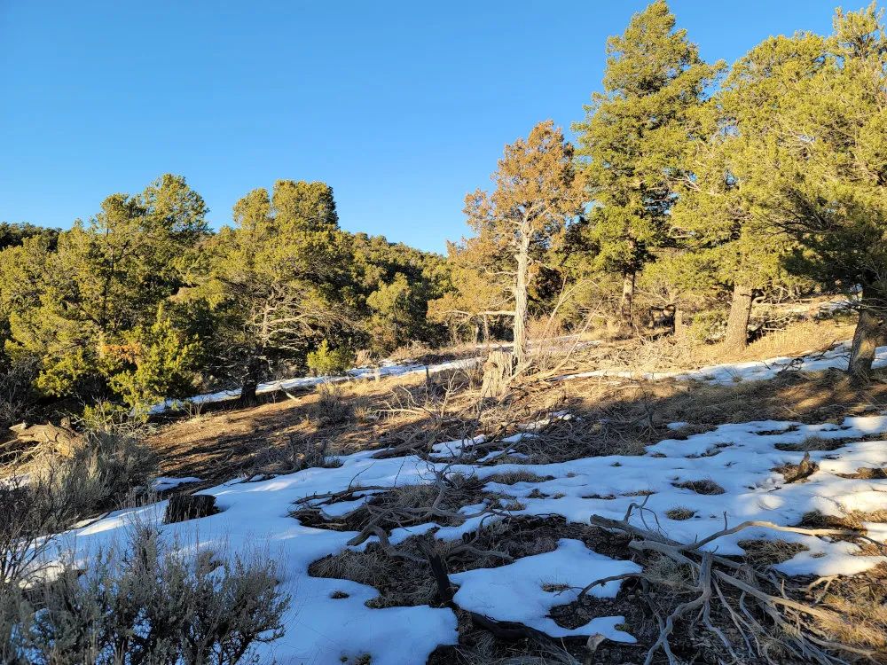 Decorative background for Fort Garland, Colorado – Alexandre Rd, Lot 4499 – 9.7 Acre Outdoorsmans Paradise image 8