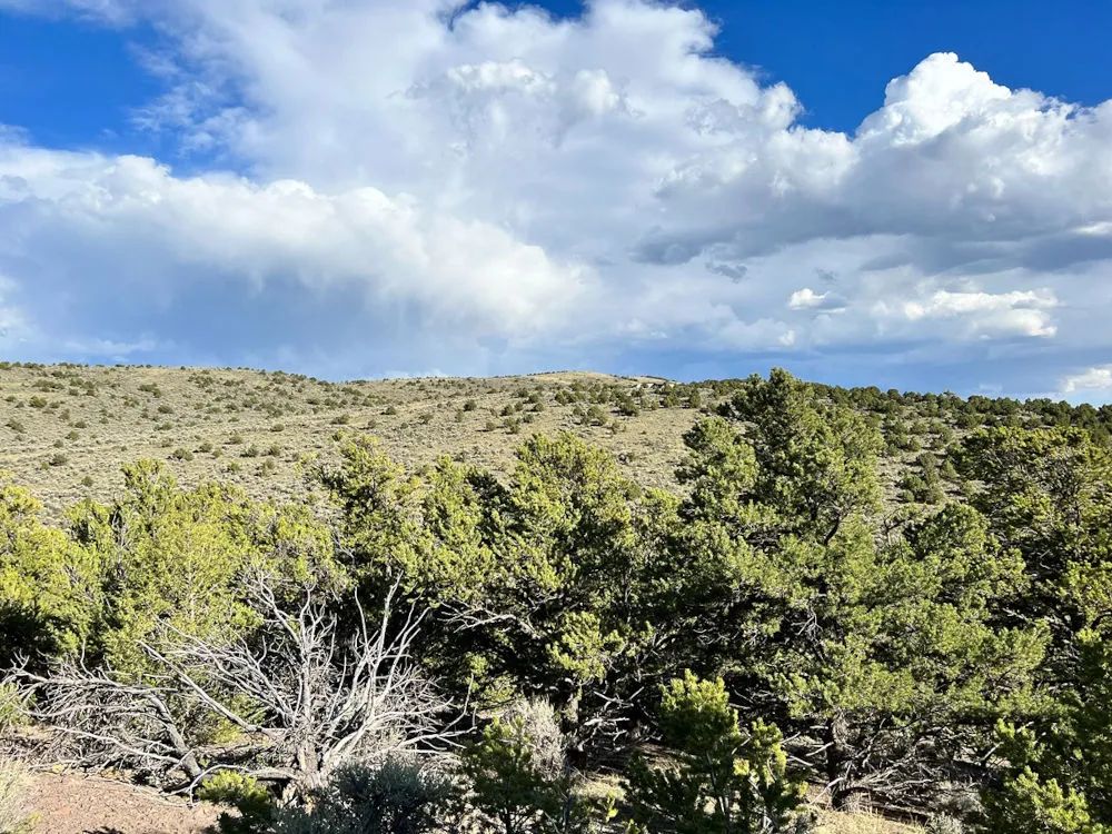 Decorative background for Fort Garland, Colorado, Alexandre Rd, Lot 4497- 5.07 Acres- Mountain Views From Your Backyard! image 5