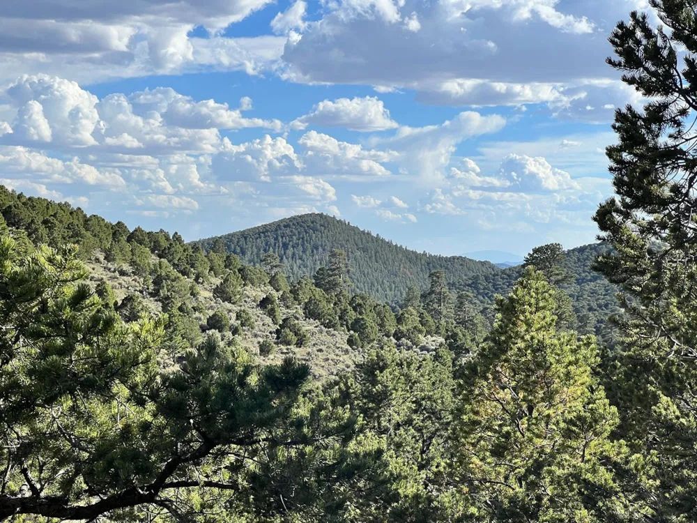 Decorative background for Fort Garland, Colorado, Alexandre Rd, Lot 4497- 5.07 Acres- Mountain Views From Your Backyard! image 7
