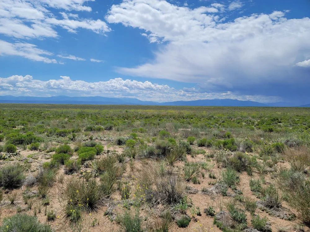 San Luis, Colorado, Nance Blvd, Rio Grande Ranchos Lot 2 – 5 Acres – Your Colorado Escape Awaits! in Costilla County, CO