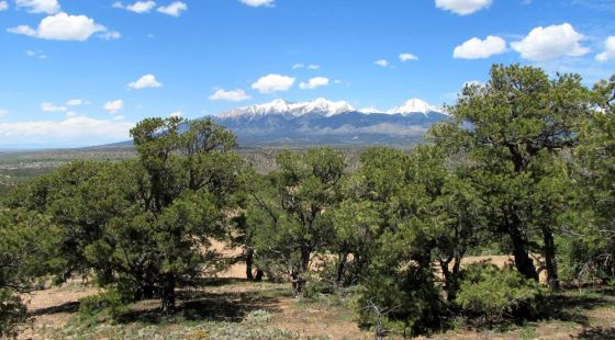 Fort Garland, Colorado – 5 Acre Mountain Paradise in Costilla County, CO