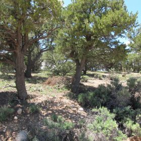 Fort Garland, Colorado – 5 Acre Mountain Paradise in Costilla County, CO