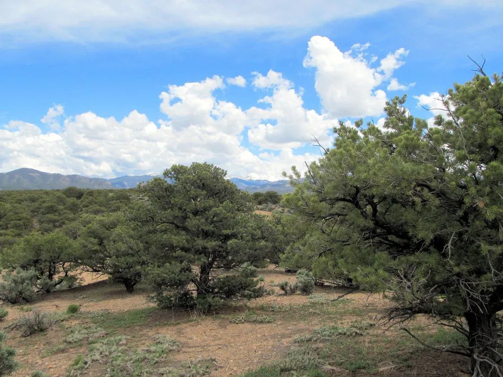 Fort Garland, Colorado – 5 Acre Mountain Paradise in Costilla County, CO