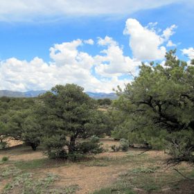 Fort Garland, Colorado – 5 Acre Mountain Paradise in Costilla County, CO
