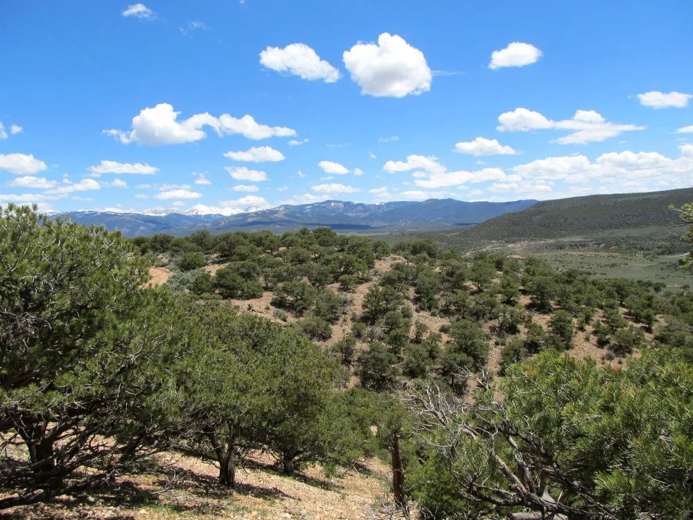 Decorative background for Fort Garland, Colorado – 5 Acre Mountain Paradise image 8