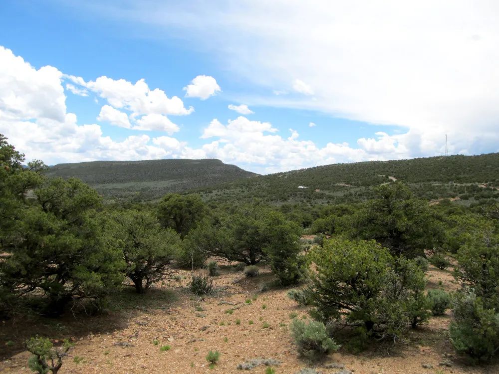 Decorative background for Fort Garland, Colorado – 5 Acre Mountain Paradise image 9