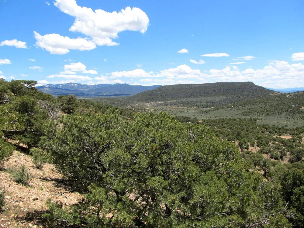 Decorative background for Fort Garland, Colorado – 5 Acre Mountain Paradise image 10