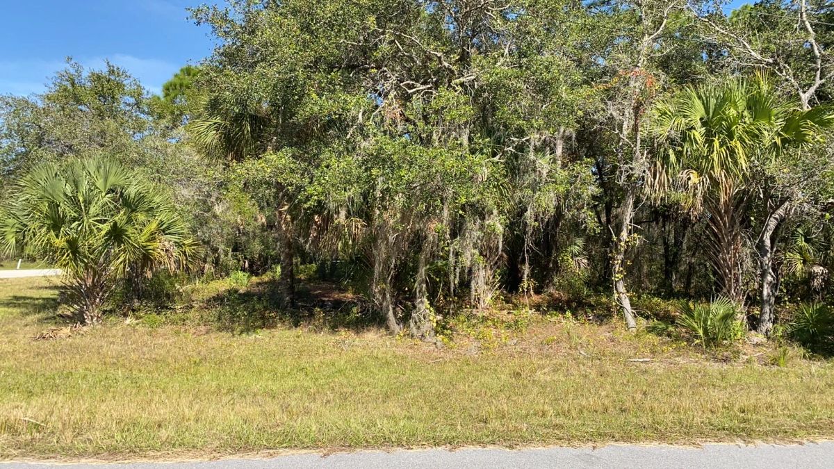 Port Charlotte, Florida – 14006 Alabama Ave – 1/4 Acre, Minutes to Gulf Coast Beaches! - Image 2