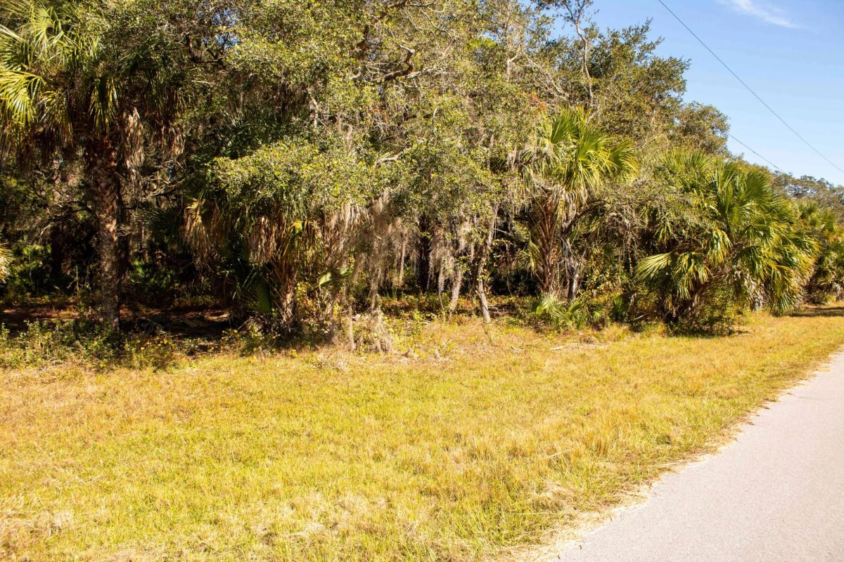 Port Charlotte, Florida – 14006 Alabama Ave – 1/4 Acre, Minutes to Gulf Coast Beaches! - Image 3