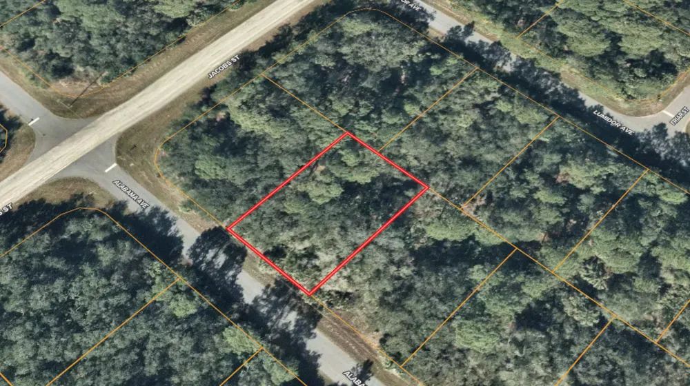 Decorative background for Port Charlotte, Florida – 14006 Alabama Ave – 1/4 Acre, Minutes to Gulf Coast Beaches! image 7