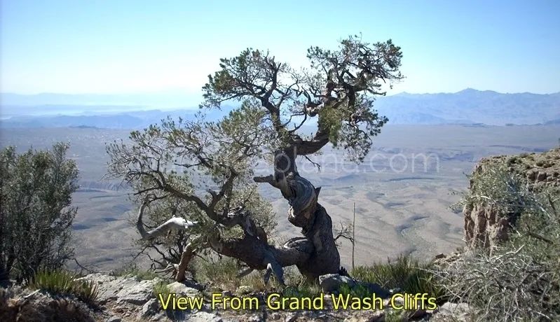 Decorative background for Grand Canyon, Hualapai Highlands - Grand Wash Cliffs image 11