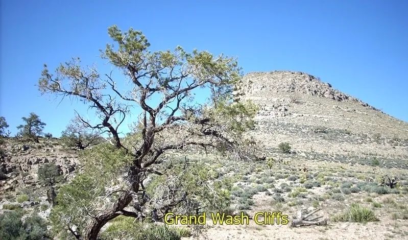 Decorative background for Grand Canyon, Hualapai Highlands - Grand Wash Cliffs image 14