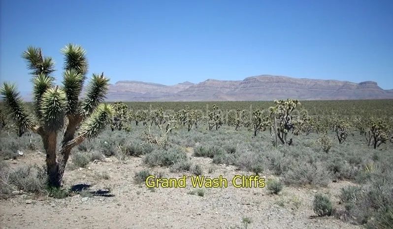 Decorative background for Grand Canyon, Hualapai Highlands - Grand Wash Cliffs image 15