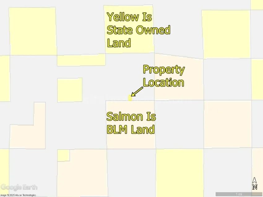 Concho Lakeland - Unit 2 Lot 164 - Image 4