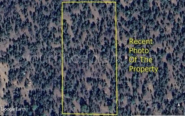 Tierra Verde Ranchettes - Unit 6, Lot 89 - Image 4