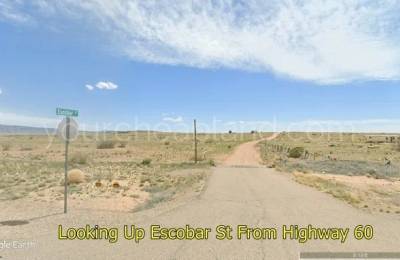 Rio Grande Estates - Socorro - Unit 15, Block 1011, Lot 38