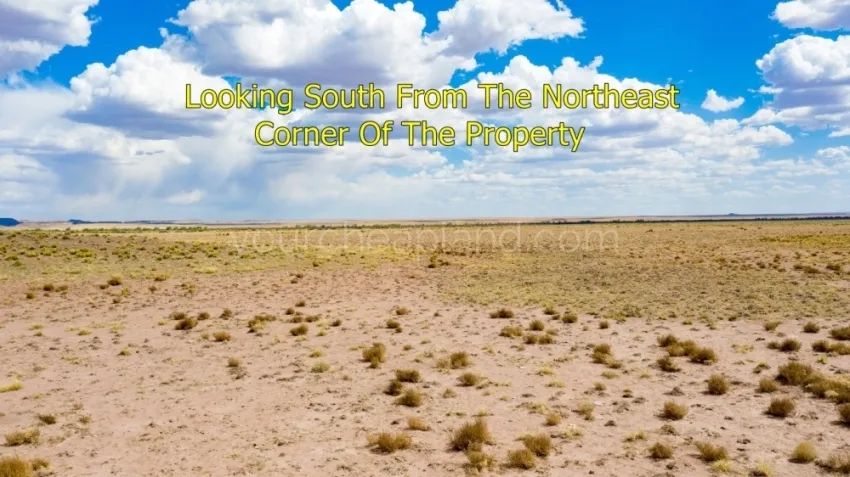 Sun Valley - Beautiful Property Near I-40 - Image 4