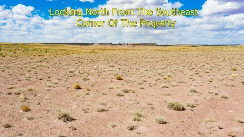 Decorative background for Sun Valley - Beautiful Property Near I-40 image 6