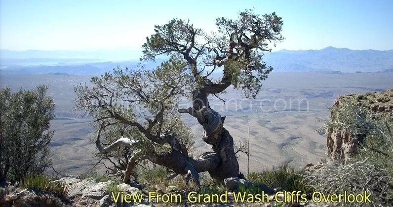 Grand Canyon, Hualapai Highlands - Unit 23-30-16 Lots 283,284,285,286,287,288 - Main image