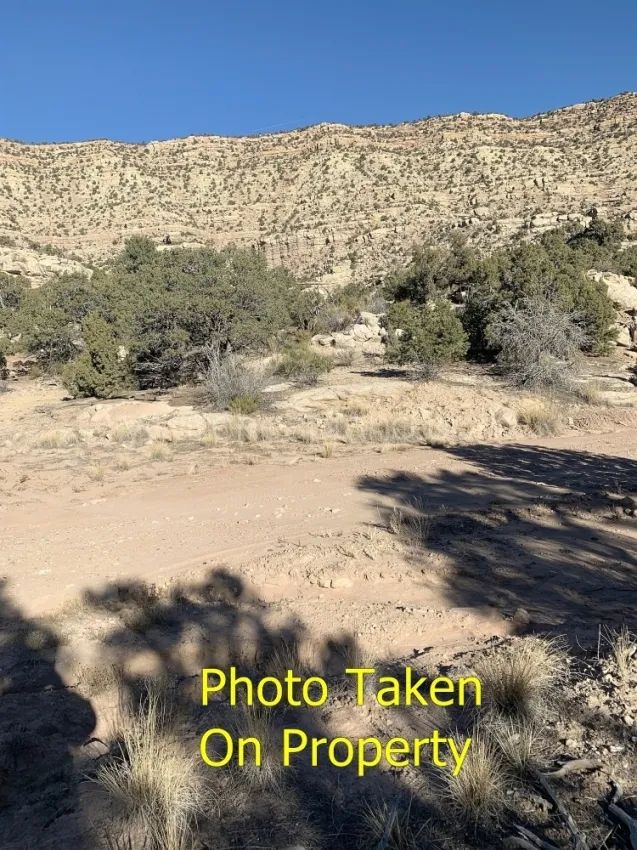 Duchesne County - Blacktail Mountain in Duchesne County, UT