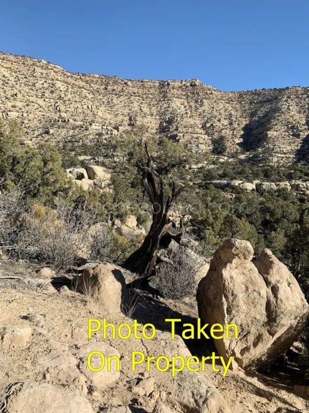 Duchesne County - Blacktail Mountain in Duchesne County, UT