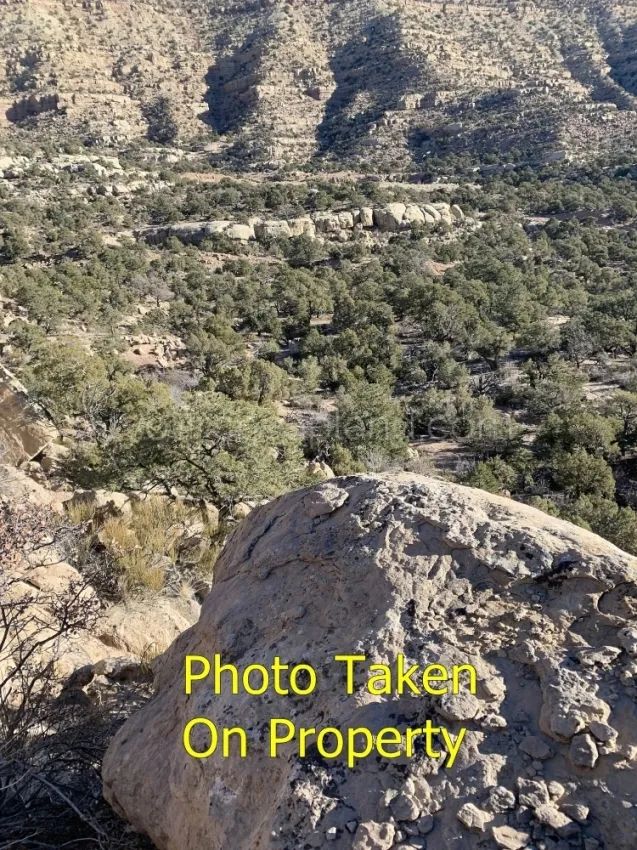 Duchesne County - Blacktail Mountain in Duchesne County, UT