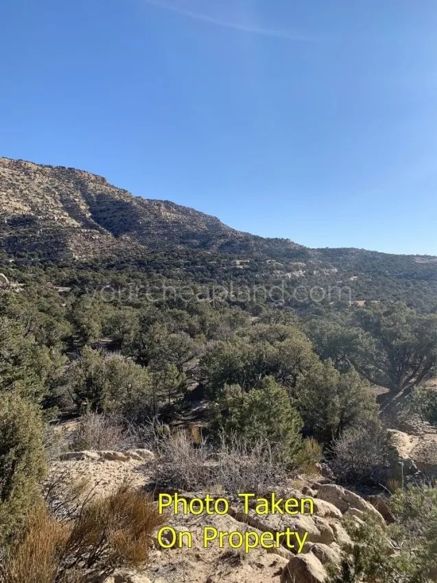 Duchesne County - Blacktail Mountain - Image 4